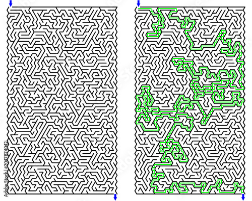 Triangular Grid maze with solution – black, white , and green shaped maze puzzle vector, clean line art, printable logic game for activity books, worksheets and books publishing