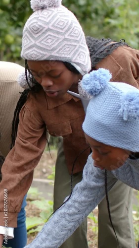 Vertical video: Leaning two girls checking garden bed, pulling carrot, showing harvest in hats