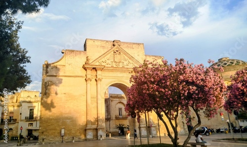 Pink flowers tree and the Arch