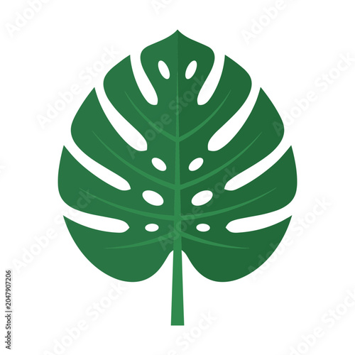 Vibrant Green Monstera Leaf Isolated on White Background Minimalist Design