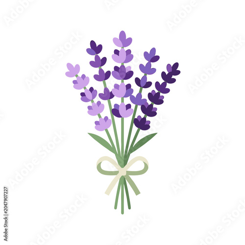 Purple lavender bouquet tied with ribbon isolated on white background minimalist floral composition