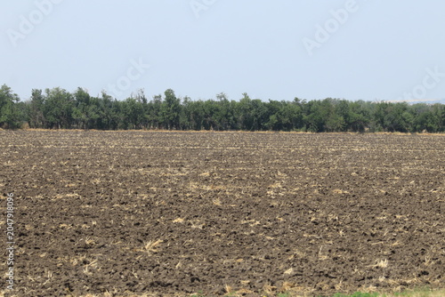 Obraz na plátně a plowed field on a sunny summer day