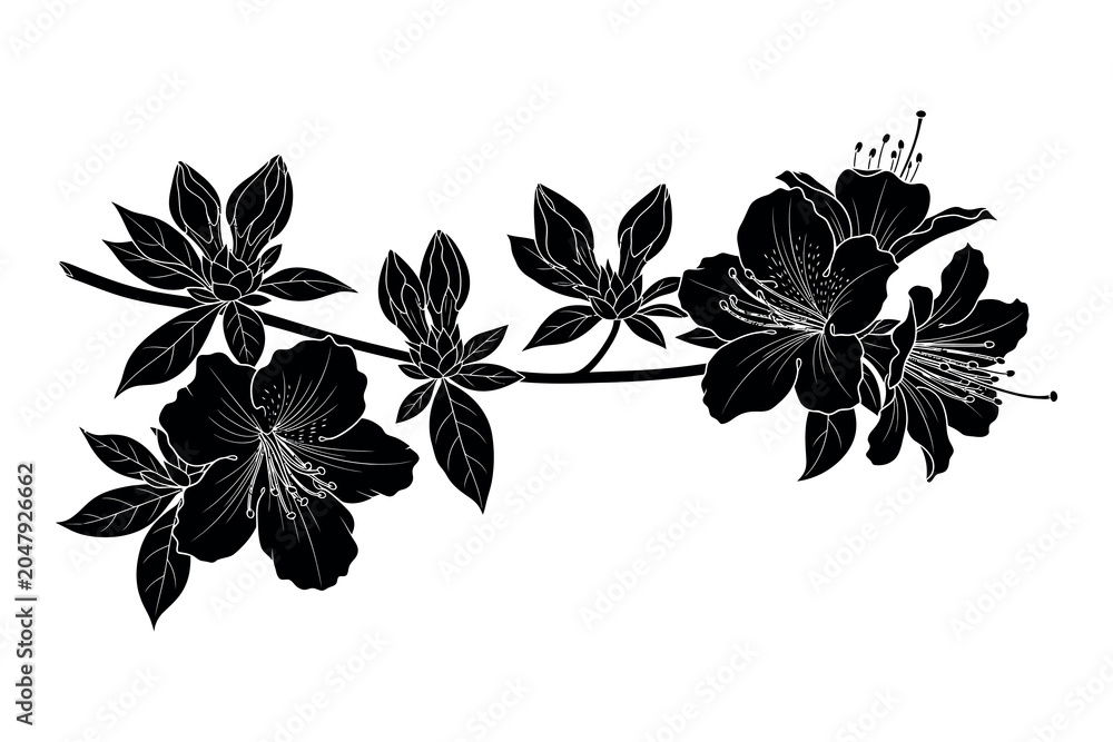 Fototapeta premium Silhouette of a flowering branch with leaves and blossoms