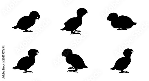 Bild auf Leinwand Parrot Silhouettes, Tropical Bird Icons, Exotic Avian Vector Graphics, Cute Anim