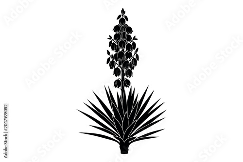Фотография Silhouette of yucca plant with flower spike