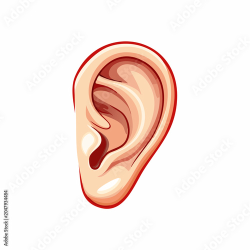 Illustration of a Human Ear