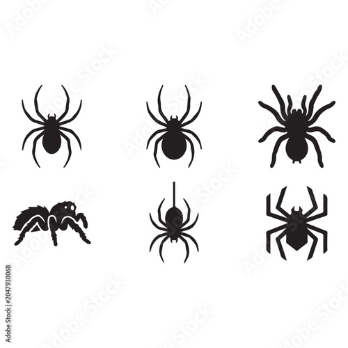Картината върху платно Spider Arachnid Vector Illustration Isolated on White Background