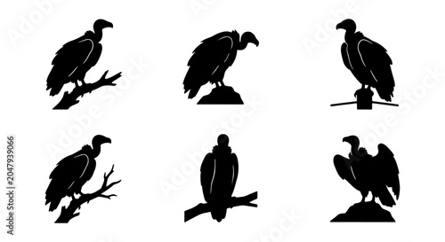 Konstfotografi Vulture Silhouette Collection, Bird Icon Set, Wildlife Vector Graphics, Nature E