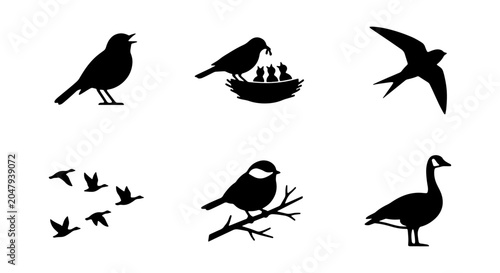 Tablou pe pânză Bird Silhouettes Collection: Avian Life, Nesting, Flying Geese, Songbird Icons,
