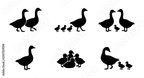 Fotografie Goose and Duckling Silhouettes Set, Family Groups Vector Icons, Farm Animal Grap