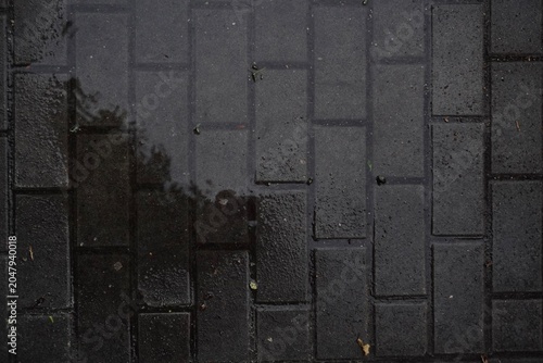 Wet grey paving slabs texture close up after rain.