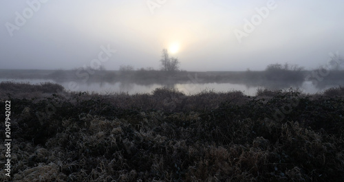 Fotografie Hazy cold morning fog above swamps