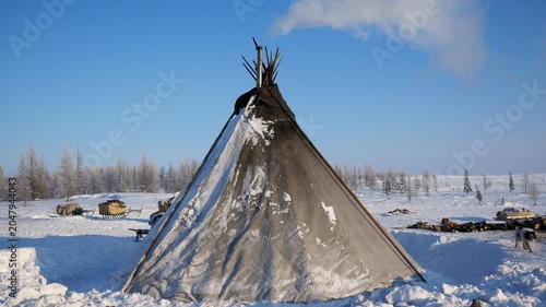 Smoke rises from a traditional nomadic chum dwelling in a snowy siberian tundra environment. With reindeer sleds in the background, illustrating the everyday life of nenets people