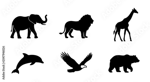 Photography African Safari Animals Silhouette Collection, Wild Fauna Vector Icons, Zoo Creat