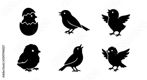 Billede på lærred Chirping Chicks & Birds Silhouette Set, Spring Awakening Icons, Cute Baby Animal