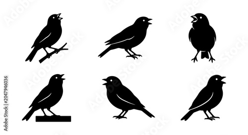 Bild auf Leinwand Set of 6 Black Bird Silhouettes, Singing Songbirds Vector Icons, Nature Wildlife