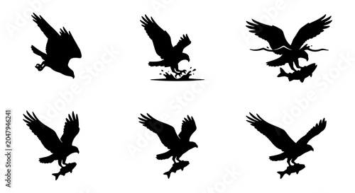 Foto Eagle Hunting Fish Vector Icons Set, Predatory Bird Silhouette in Action, Wildli