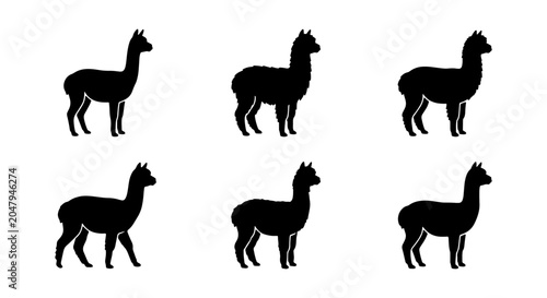 Canvastavla Six Black Silhouette Alpacas, Vector Icons Set, Cute South American Camelid Grap