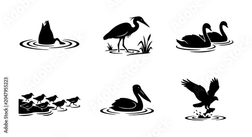 Cuadro en lienzo Diverse Bird Silhouettes Collection: Waterfowl, Wading Birds, and Birds of Prey