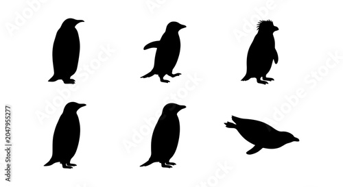 Obraz na płótnie Penguin Silhouettes Collection: Diverse Poses, Antarctic Wildlife Vector Icons,