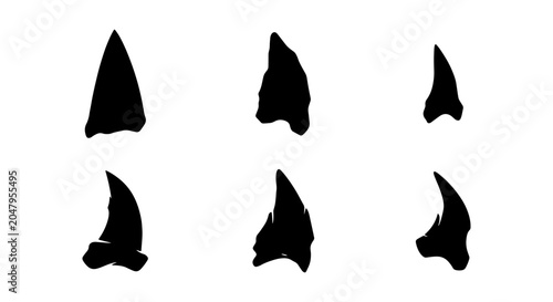 Foto Shark Teeth Vector Icons Set, Predatory Marine Animal Fossil Collection, Sharp J