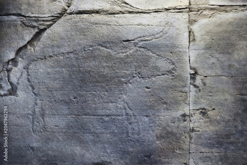 Fotografie Rock art of Khakassia. Petroglyphs. Russia