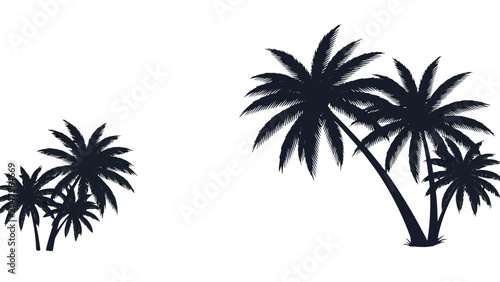 Silhouettes of palm trees against a white background, showcasing tropical foliage and island vibes.