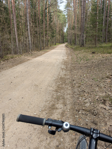 Cycling Along a Quiet Dirt Road Through Pine Forest, Bike Handlebar Perspective
