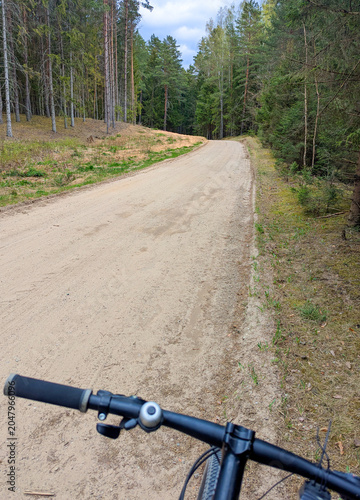 Cycling Along a Quiet Dirt Road Through Pine Forest, Bike Handlebar Perspective