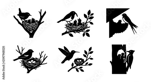 Photos Bird Nest Vector Icons Set: Avian Family Life, Nature Scenes, Wildlife Silhouett