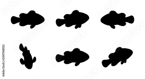 Tableau sur toile Clownfish Silhouettes Set: Marine Life Icons, Aquatic Animal Vector Graphics, Oc