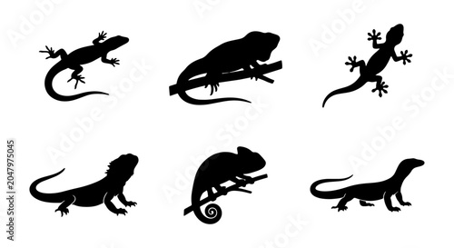 Slika na platnu Reptile Silhouettes: Gecko, Chameleon, Lizard Vector Icons Set, Wildlife Animal