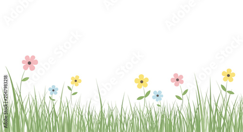 Foto Colorful flowers in green grass field.