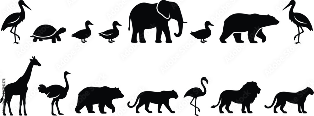 Fototapeta premium Collection of wild animals black silhouettes set including elephant lion giraffe bear and birds isolated on white background