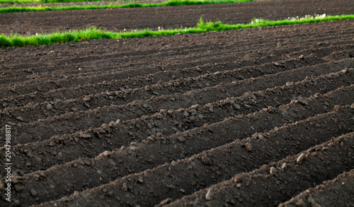 Tableau sur toile Dark plowed field in spring creating rows for agriculture