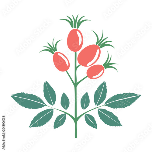 Flat design rose hip branch with berries and leaves