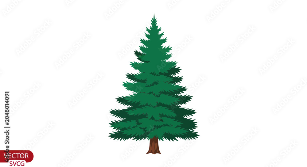 Obraz premium A large green pine tree standing.