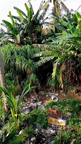 waterfall in tropical jungle
