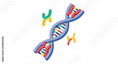 DNA double helix structure with colorful nucleotides.