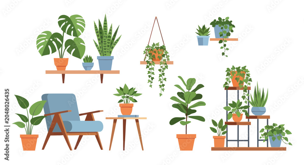 Obraz premium Variety of Potted Houseplants on Shelves.