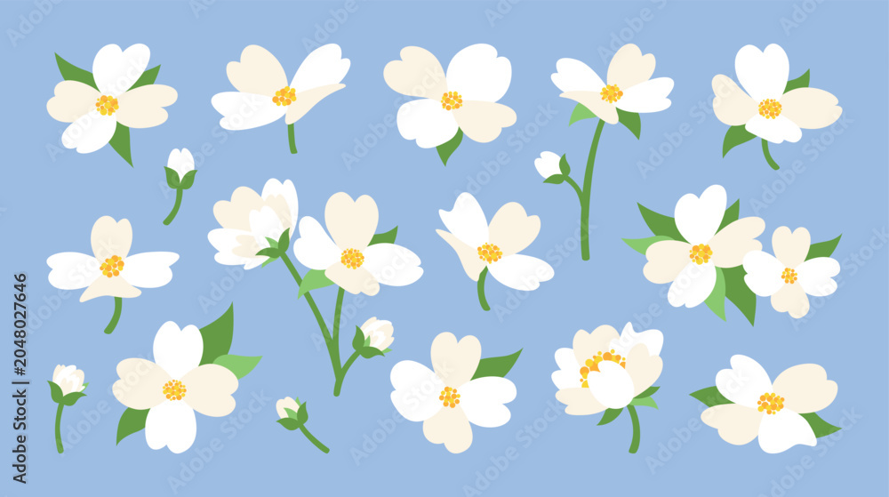 Fototapeta premium Cartoon set of white jasmine flower illustrations in different positions. Parts of the plant, bud, inflorescence, stem, leaf. Vector elements for decoration, design of invitations, greeting cards, ect