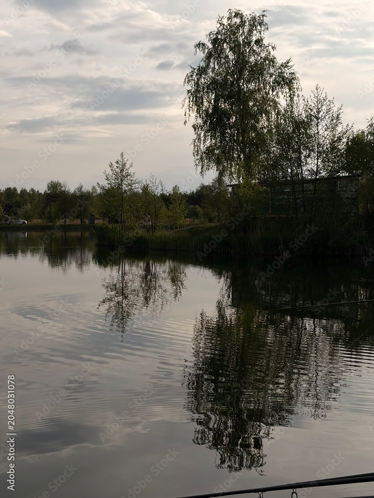 Fototapeta premium reflection in water