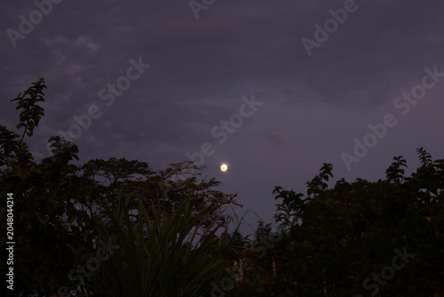 lua no crepúsculo