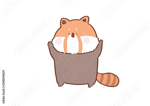 Tableau sur toile Cute red panda standing on its hind legs and raising front paws to intimidate, a