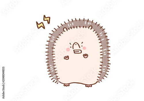 Foto Hedgehog bristling its back spines in caution and intimidating to stay away, sel