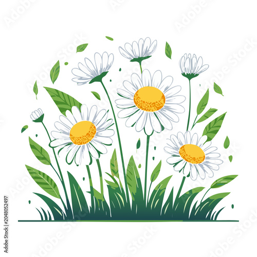 Field of white daisies with green grass and leaves