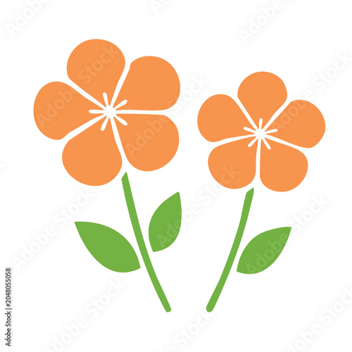 Two orange flowers with green leaves, flat design