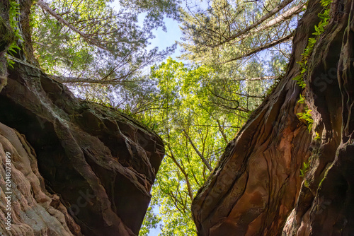 Sandstone Canyon Walls and Forest Canopy at Witches Gulch in Wisconsin Dells