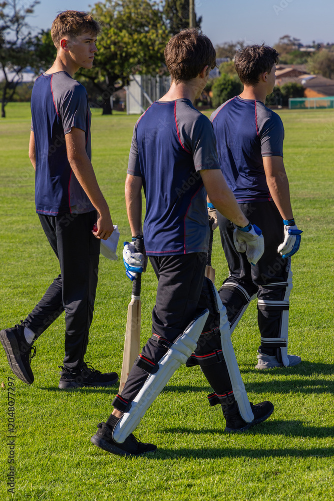 Obraz premium Diverse teen male cricket players walking across field holding bats and wearing navy shirts
