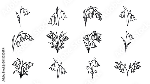 Bild auf Leinwand Twelve varied lily of the valley flower line drawings.
